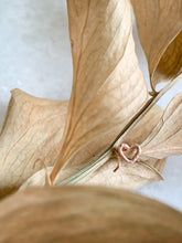 Load image into Gallery viewer, Heart Nose Stud - Sterling Silver // 14K Gold Filled // or Rose Gold Filled - by Via Francesca