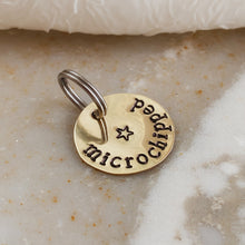Load image into Gallery viewer, "Microchipped" Hand Stamped Brass Pet Tag - by Francesca