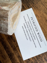 Load image into Gallery viewer, Medium Petrified Wood Specimen with Polished Top -  Grounding // Calming
