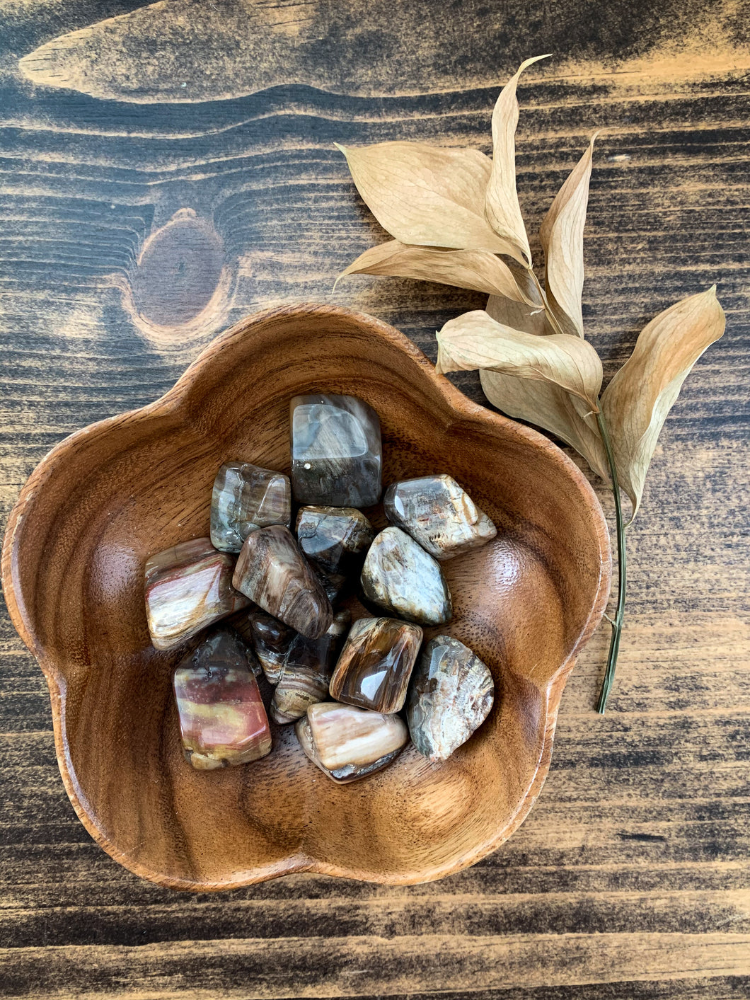 Tumbled Petrified Wood - Grounding // Calming