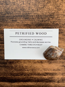Tumbled Petrified Wood - Grounding // Calming
