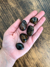 Load image into Gallery viewer, Tumbled Chiastolite - Protection // Stability
